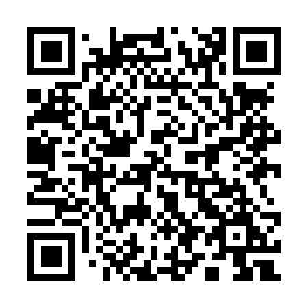 QR code for plate 199-LRM