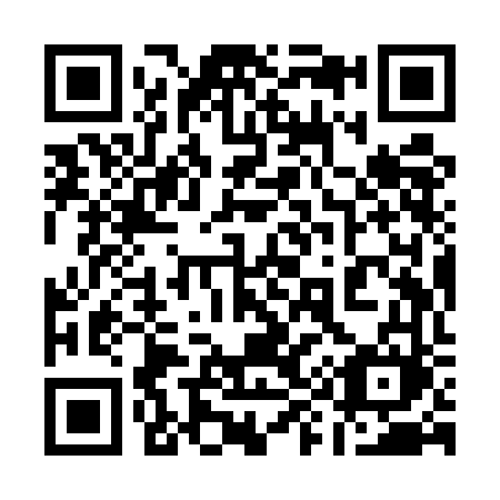 QR code for plate 199-UFM