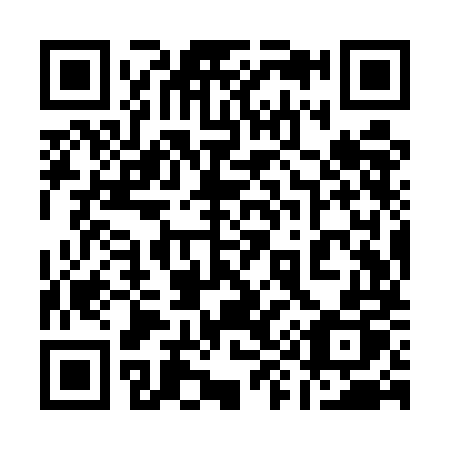QR code for plate 199-UMP