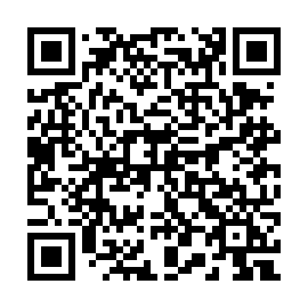 QR code for 203-DNI