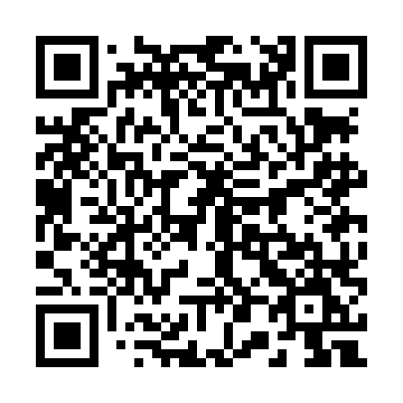 QR code for 203-LLM