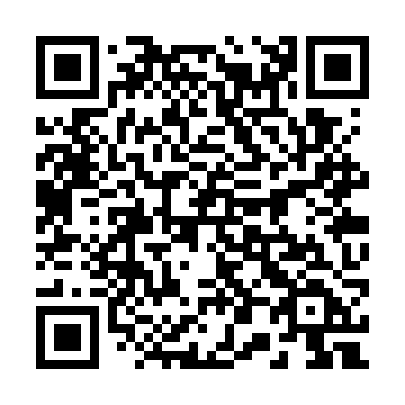 QR code for plate 203-WZD