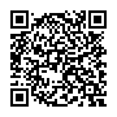 QR code for 204-NYT