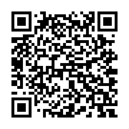 QR code for 204-PMT