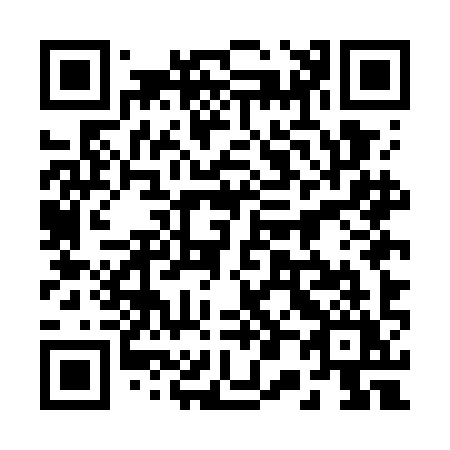 QR code for plate 205-GIY