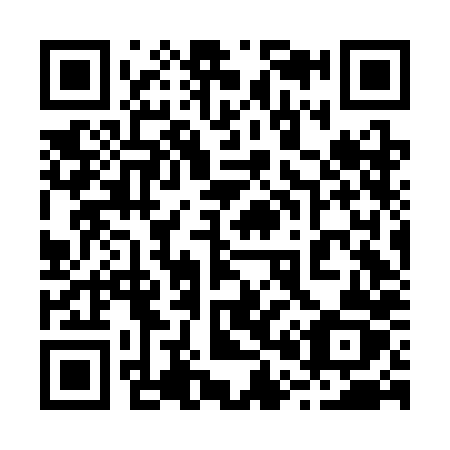 QR code for 206-CHZ