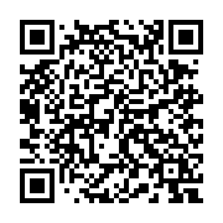 QR code for 207-DFX