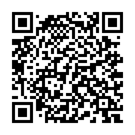 QR code for 207-PMA