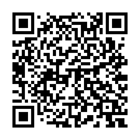 QR code for 207-QPP