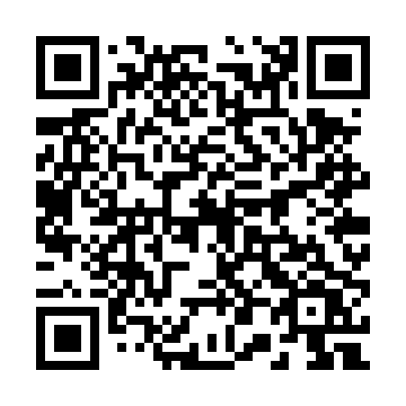 QR code for 207-TPV