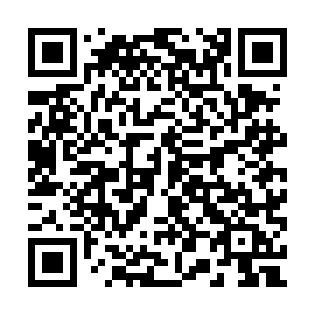 QR code for plate 207-DMC