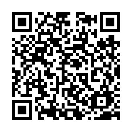 QR code for plate 207-VSG