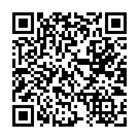 QR code for 208-CZV