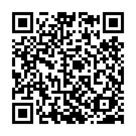 QR code for 208DJI
