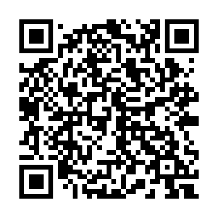 QR code for 209-RAG