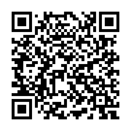 QR code for 210MMI
