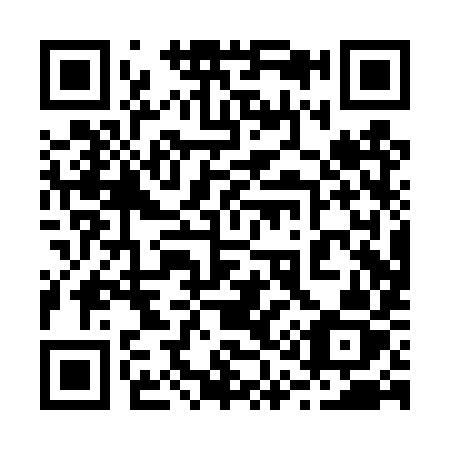 QR code for plate 210-TYZ