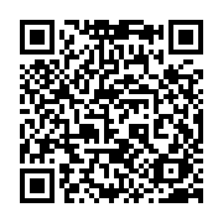 QR code for plate 211-IZH