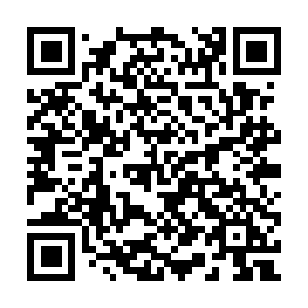 QR code for 211UDI