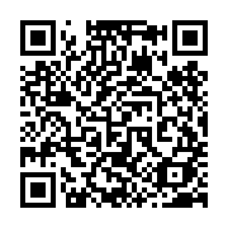 QR code for 213DMI