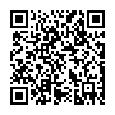 QR code for plate 216-ACE