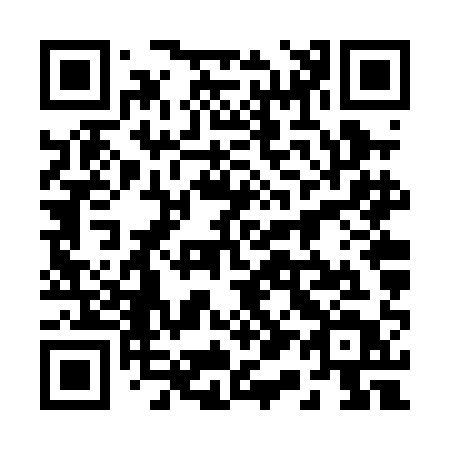 QR code for plate 216-PAT