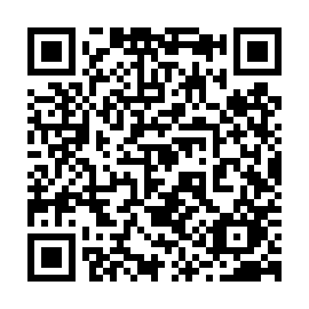 QR code for plate 216-TPO