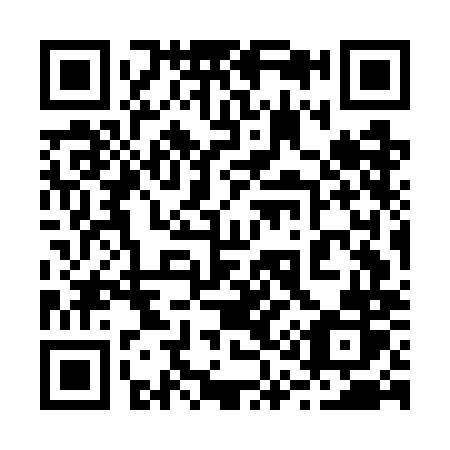 QR code for 217-GMR