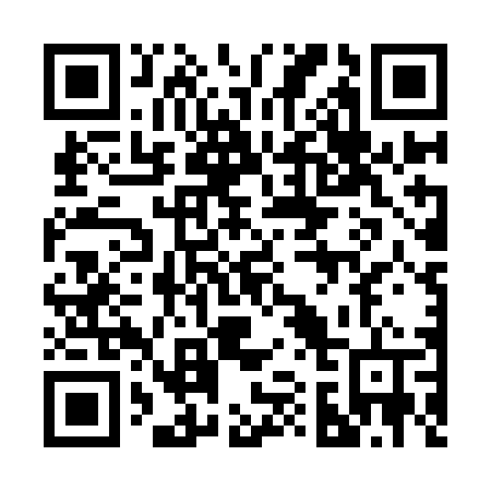 QR code for 217-IDT