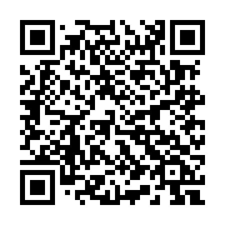 QR code for 217-MFF