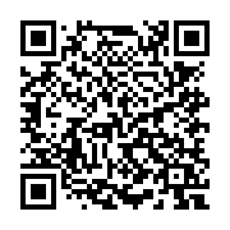 QR code for plate 218-NLQ