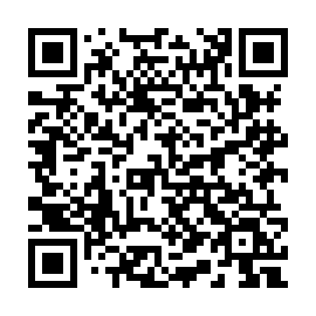 QR code for 219-HNL