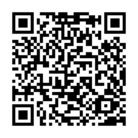 QR code for plate 219-PZZ