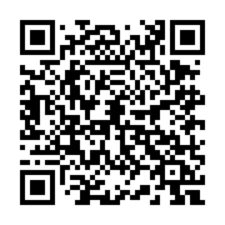 QR code for 221DMC