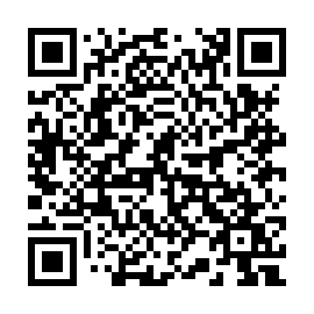 QR code for plate 221-HWW