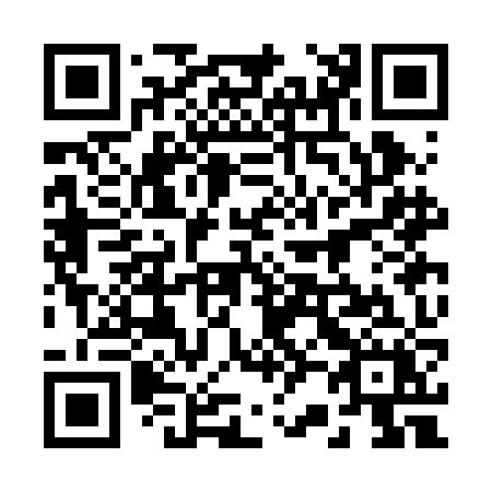 QR code for 223-BJX