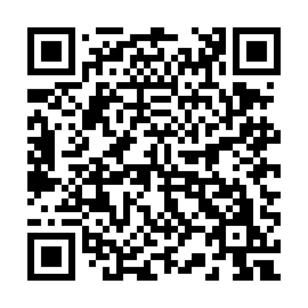 QR code for 225-DAO