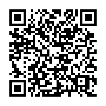QR code for 225-SAP