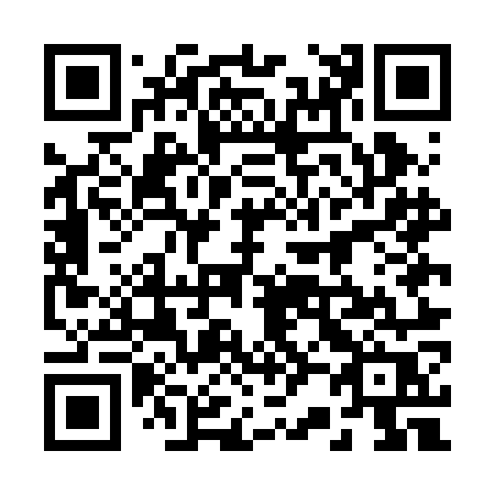 QR code for 225BOR