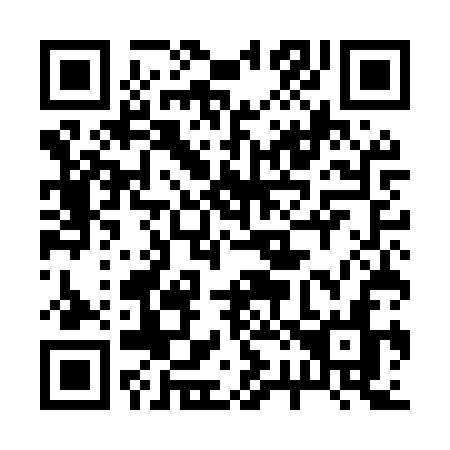 QR code for plate 225-MSN