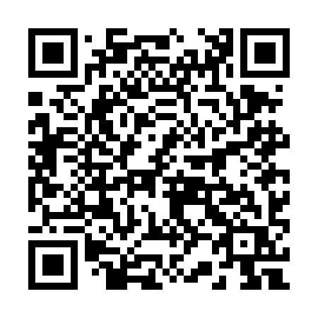 QR code for 227-DIR