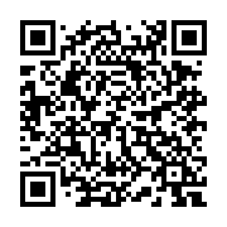 QR code for 228-DFI