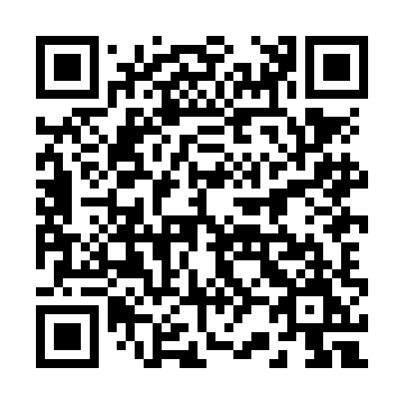 QR code for 228-NHM