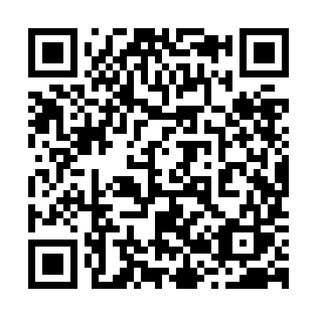 QR code for 228-ZIS