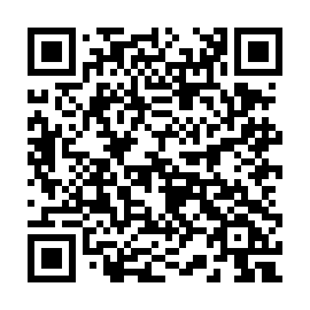 QR code for plate 228-DDF