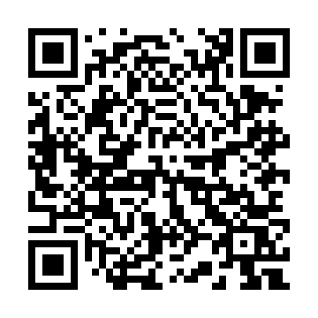 QR code for 228DNS