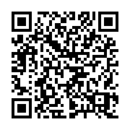 QR code for plate 228-IDS