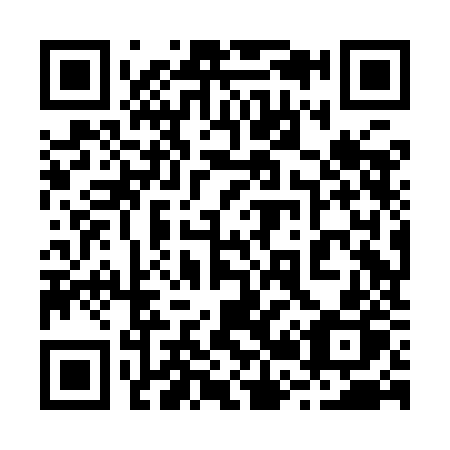 QR code for 228IJP
