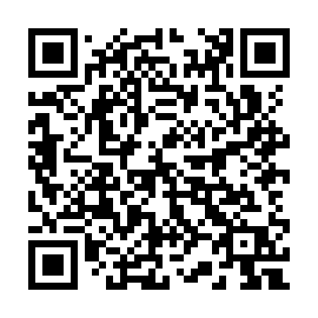 QR code for plate 228-KQP
