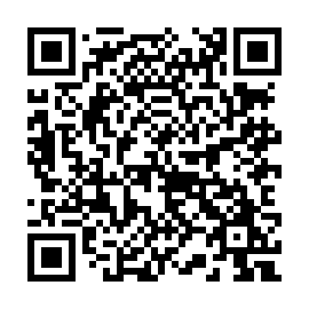 QR code for plate 228-LJO